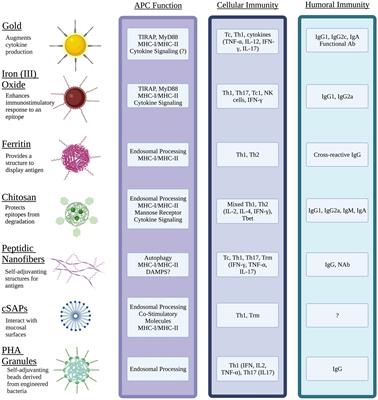 Nanomaterials-based vaccines to target intracellular bacterial pathogens